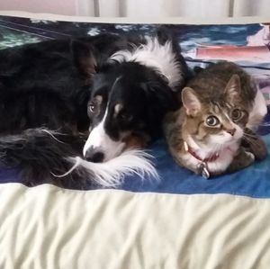 Meet your Posher, Angela